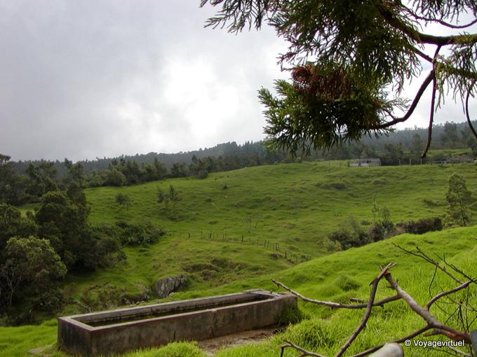 Un pasto bucólico y un canal - Isla de la Reunión