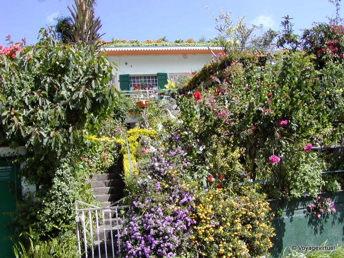 Floridos Techo, Cilaos - Isla de la Reunión