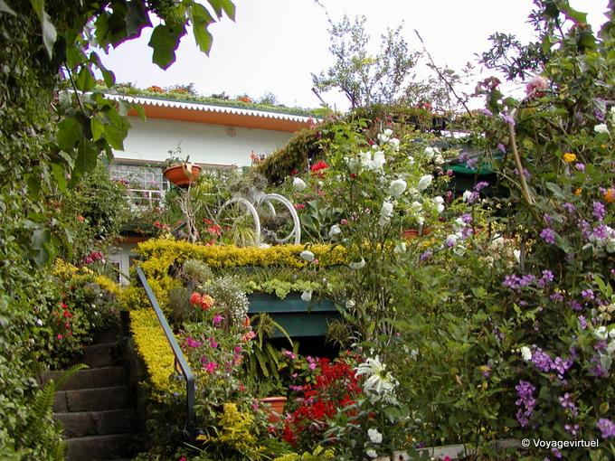 Caso florido Cilaos - Isla de la Reunión