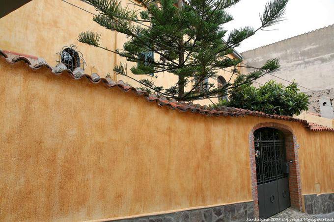 Orosei, pared y Araucaria - Cerdena