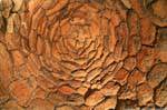 Nuraghe Santu Antine, bóveda nuragical, Cerdena.