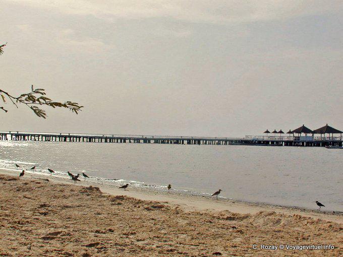 Beach Pier en el Sine Saloum - Senegal