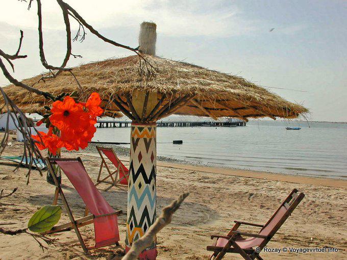 Hibiscus en la playa Foundiougne - Senegal