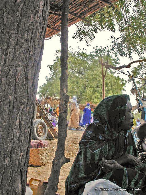 En el vestido de mercado, la corteza del árbol y de la mujer - Senegal