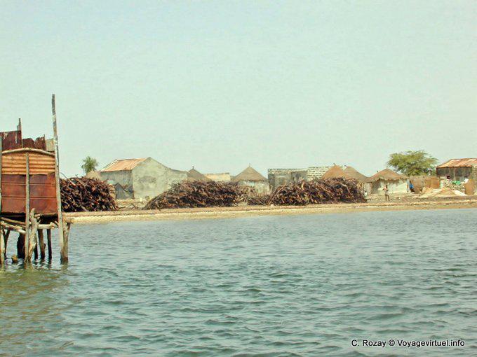 Maderas preciosas por el río - Senegal