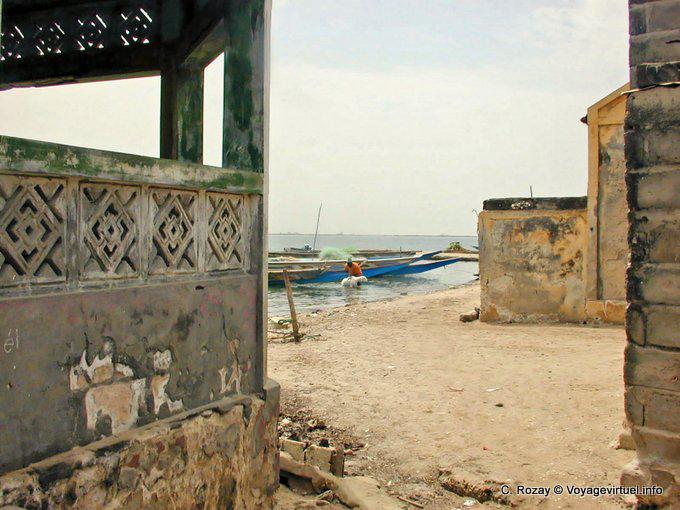 Ovejas de baño en un pueblo de Saloum - Senegal