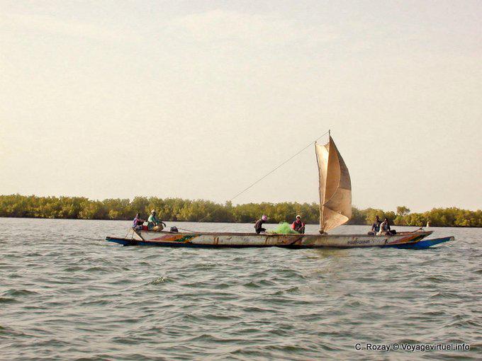 Saloum barco por el río subiendo la vela - Senegal