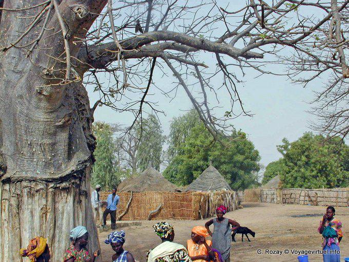 Tapas en el centro del pueblo - Senegal