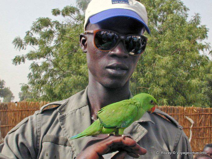 La guía y el pequeño loro verde - Senegal