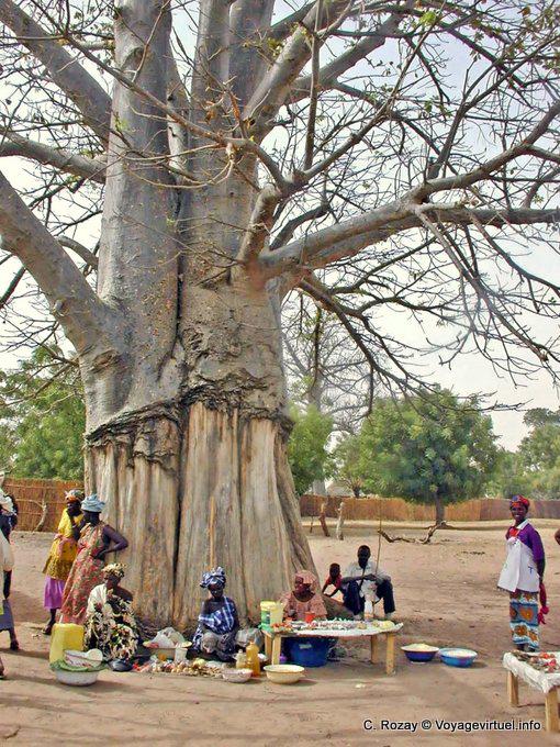 Pequeño mercado local, a los pies del árbol gigante de la aldea arbusto - Senegal