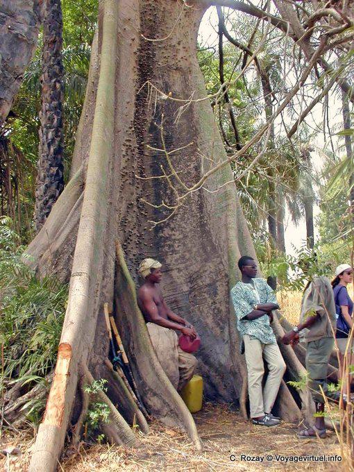 Palabrería a la sombra de queso - Senegal