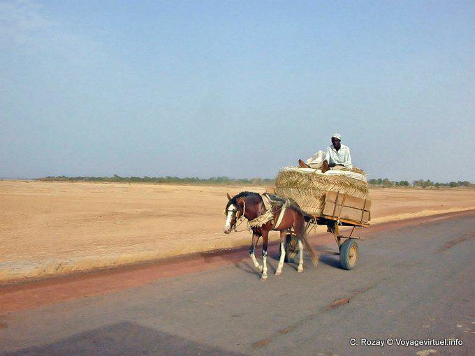 Montar a caballo en la rueda, el camino Saloum - Senegal