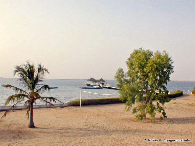 Arena, árbol y delta, Sine-Saloum - Senegal