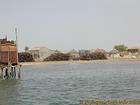 Maderas preciosas por el río, Senegal.