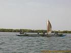 Saloum barco por el río subiendo la vela, Senegal.