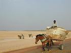 Carros de retorno cosecha, Sine-Saloum, Senegal.