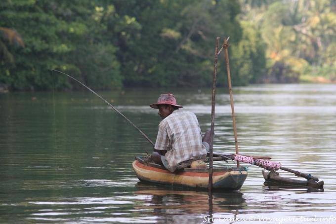 La pesca en el estuario del Bentota - Ceilan Sri Lanka