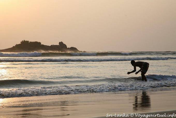 Aseo de la tarde en Laccadive Mar, Beruwela - Ceilan Sri Lanka