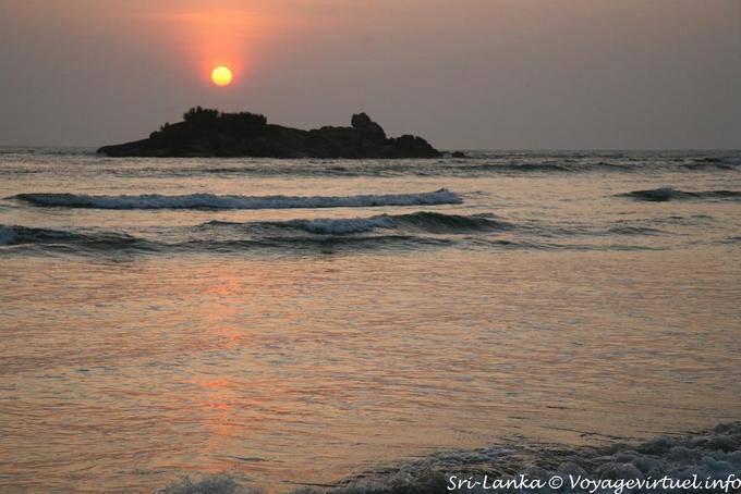 El verde rayos Beruwela - Ceilan Sri Lanka