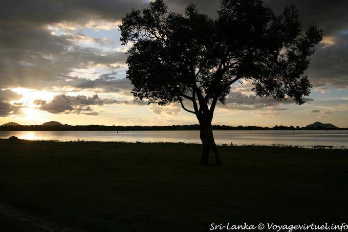 Sombras chinas, Kandalama Lago - Ceilan Sri Lanka