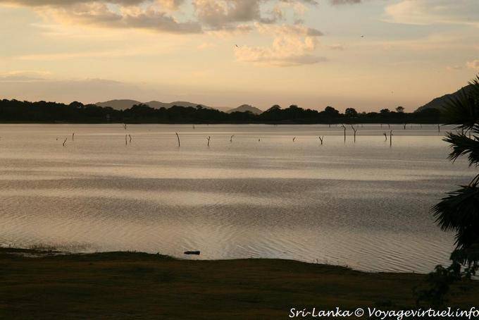Dambulla, broma de viento en el lago Kandalama - Ceilan Sri Lanka