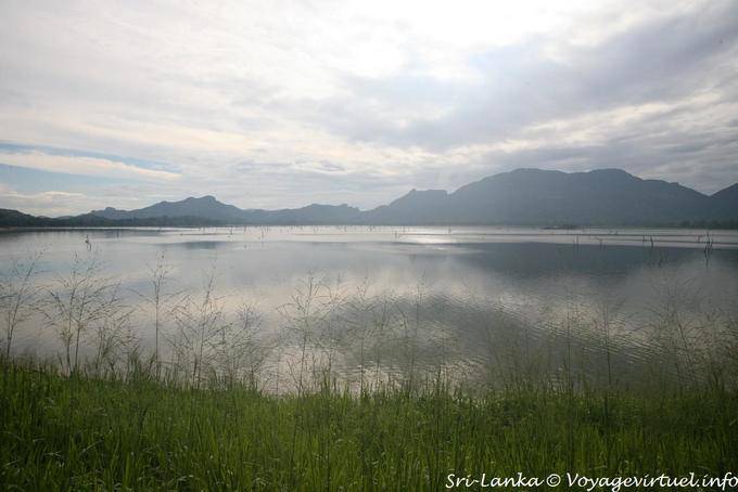 Mañana tranquila en el lago visto desde la carretera Kandalama Dambulla - Ceilan Sri Lanka