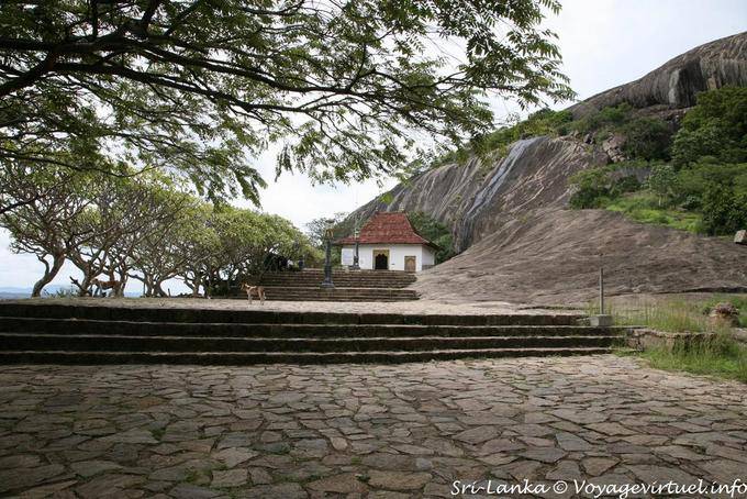 Pasos para la entrada Maha Viharaya Raja, Dambulla - Ceilan Sri Lanka