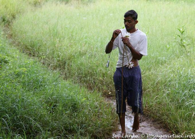 Hacer un collar de flores, Habarana - Ceilan Sri Lanka