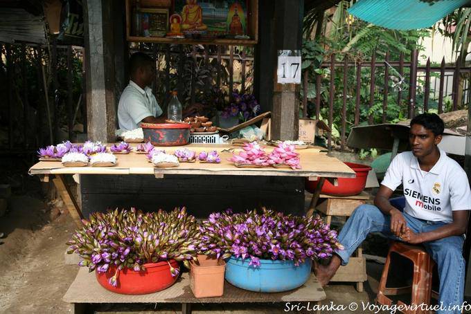 Pequeño Puesto de un vendedor de flores, Kandy - Ceilan Sri Lanka