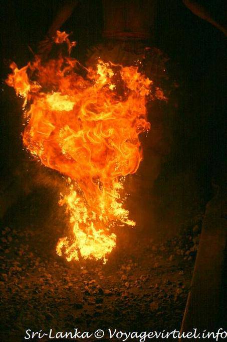 El paso a las llamas, a pie de fuego, Kandy - Ceilan Sri Lanka