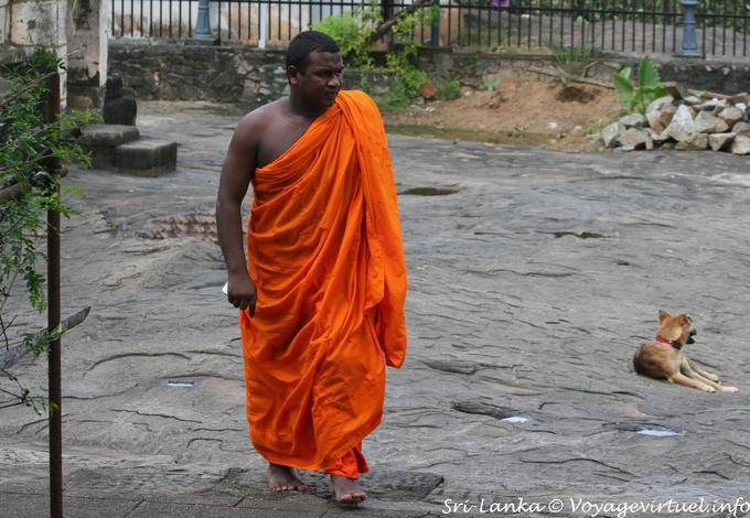 Monje en su túnica azafrán, Gadaladeniya templo, Kandy - Ceilan Sri Lanka