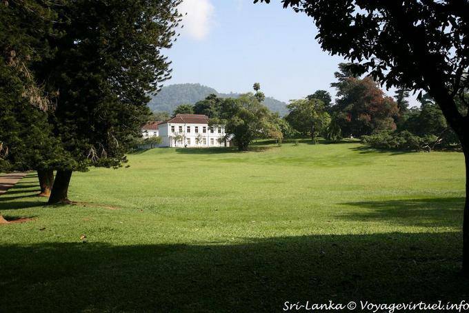 Peradeniya Botanical Park Kandy (jardín botánico real) - Ceilan Sri Lanka
