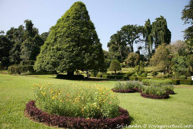 Macizos de flores y diversidad de árboles, Royal Botanic Gardens, Peradeniya - Ceilan Sri Lanka