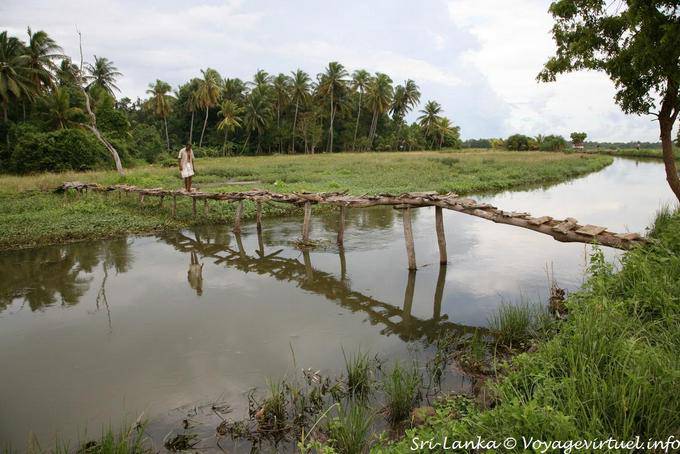 Cruzando un puente peatonal de madera frágil, camino Batukotuwa - Ceilan Sri Lanka