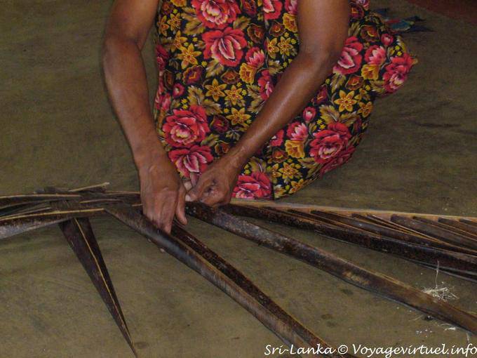 Utilice coco, confección con aletas, Nalanda - Ceilan Sri Lanka