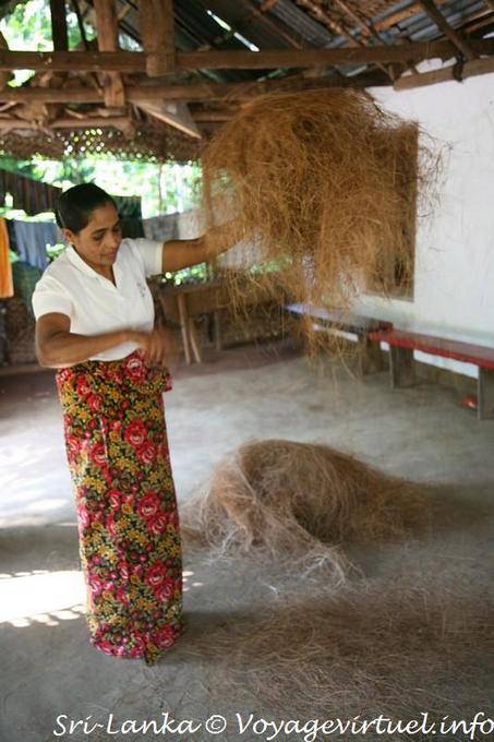 La cáscara de fibra o de coco se utiliza para hacer cepillos, colchonetas ... Nalanda - Ceilan Sri Lanka