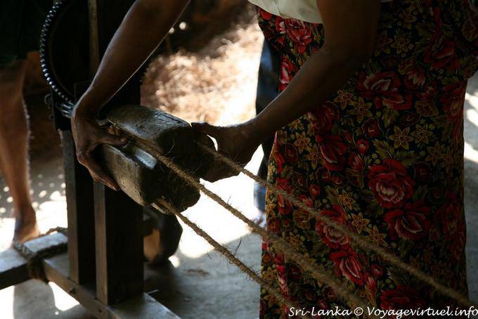 Las fibras de coco el relleno utilizados para la fabricación de cuerdas, Nalanda - Ceilan Sri Lanka