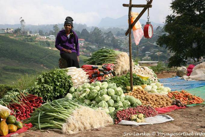 Puesto de verduras frescas en el lado de la carretera, Nuwara Eliya - Ceilan Sri Lanka
