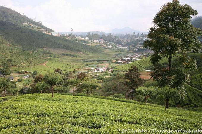 Panorama de las alturas que llegan a Nuwara Eliya - Ceilan Sri Lanka
