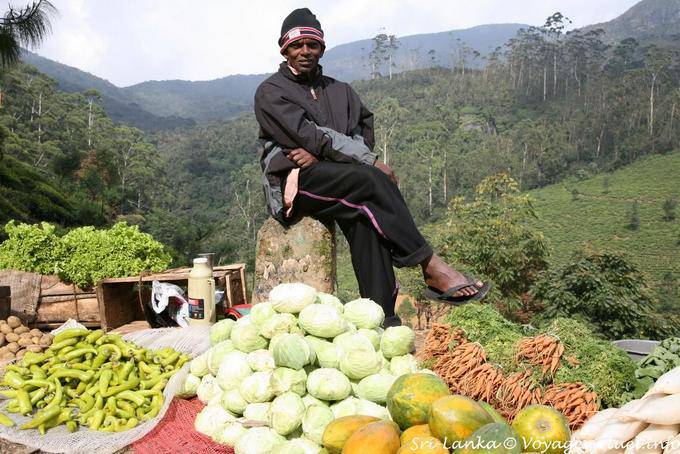 Vendedora de verduras en el alto Nuwara Eliya - Ceilan Sri Lanka