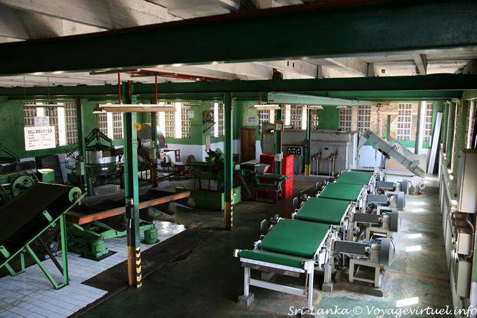 Clasificación pausa para el té habitación, Glenloch Tea Factory, PBC carretera - Ceilan Sri Lanka