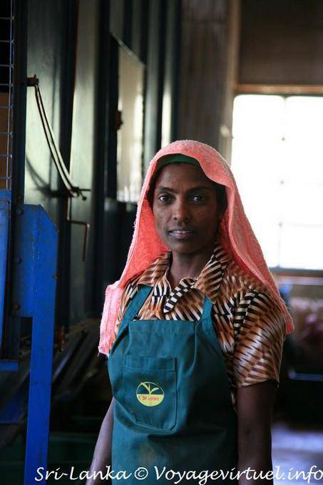 Retrato de un trabajador, fábrica Glenloch té, alrededor de Nuwara Eliya - Ceilan Sri Lanka
