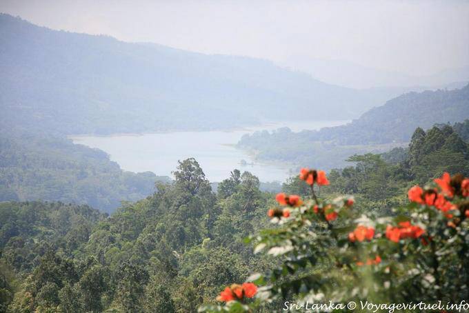 Vista del Kotmale Embalse, Tea Road, Nuwara Eliya - Ceilan Sri Lanka