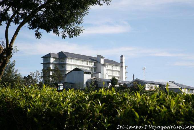 Panoramic Hotel, un ex primer ministro británico fabrica, Tea Factory, Nuwara Eliya - Ceilan Sri Lanka