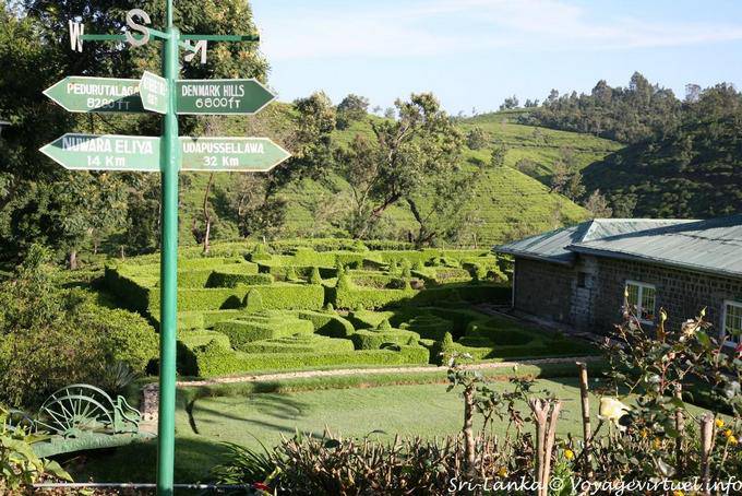 Topiary en el jardín de la fábrica de Hotel Tea, Nuwara Eliya - Ceilan Sri Lanka