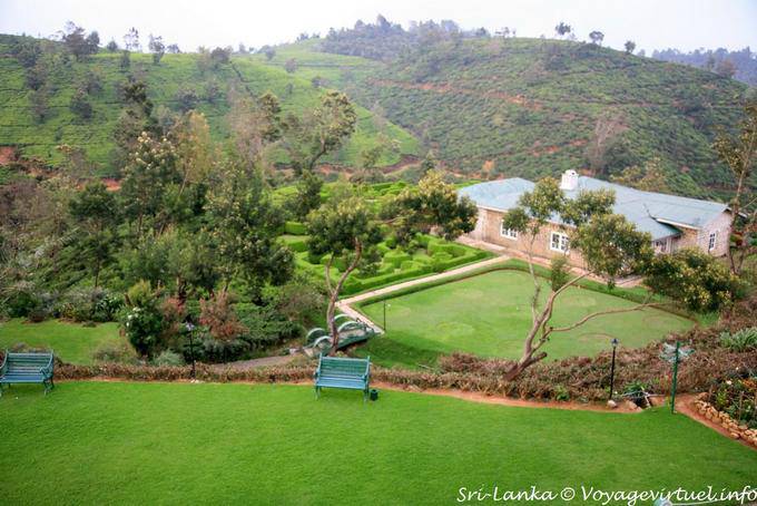 Panorama de la fábrica de té del hotel, Nuwara Eliya - Ceilan Sri Lanka