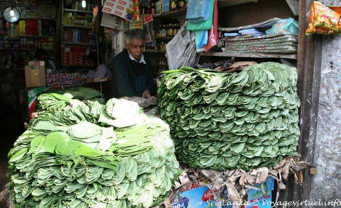 Pila de hojas para la toma de betel Mercado Nuwara Eliya - Ceilan Sri Lanka