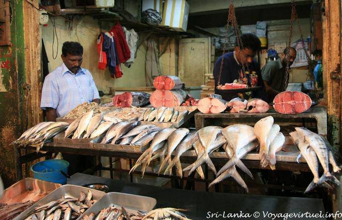 Pescados frescos en el puesto de la pescadería, Mercado Nuwara Eliya - Ceilan Sri Lanka