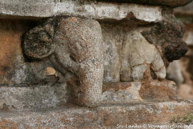 Elefante tallado, Kalu Gal Vihara, Polonnaruwa - Ceilan Sri Lanka