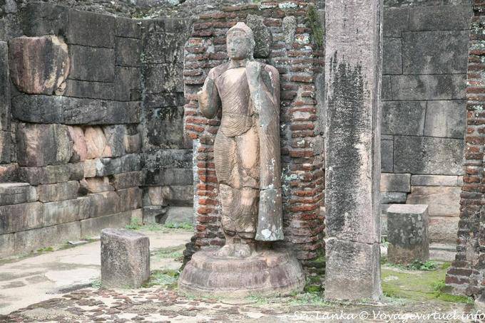 Buda de pie en la terraza del diente o Hatadage, Polonnaruwa - Ceilan Sri Lanka